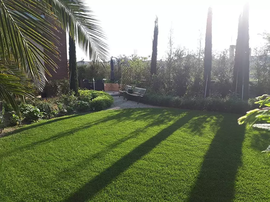 Immagine 12 di Locale commerciale in affitto  in Via C. Bruschelli a Teramo