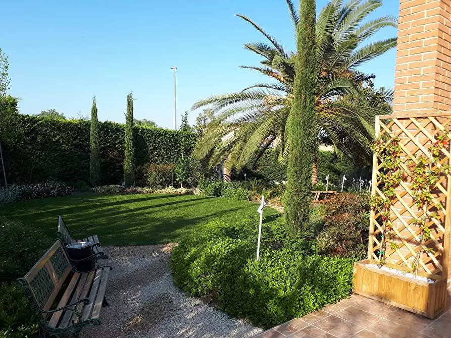 Immagine 14 di Locale commerciale in affitto  in Via C. Bruschelli a Teramo