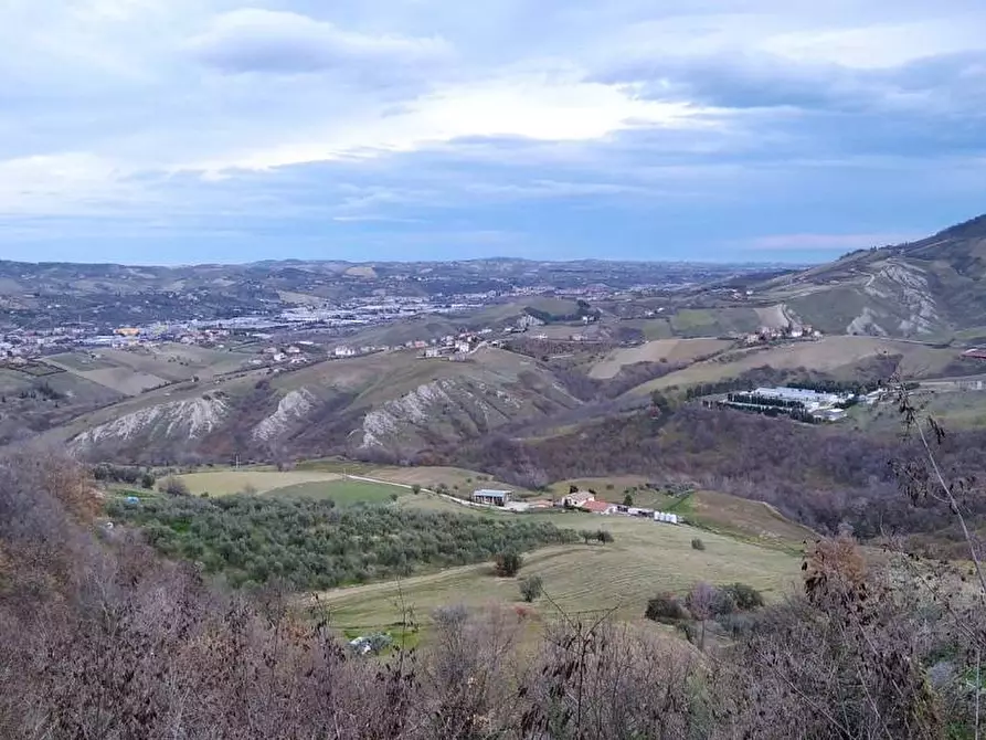 Immagine 22 di Appartamento in affitto  in SP 19 a Teramo