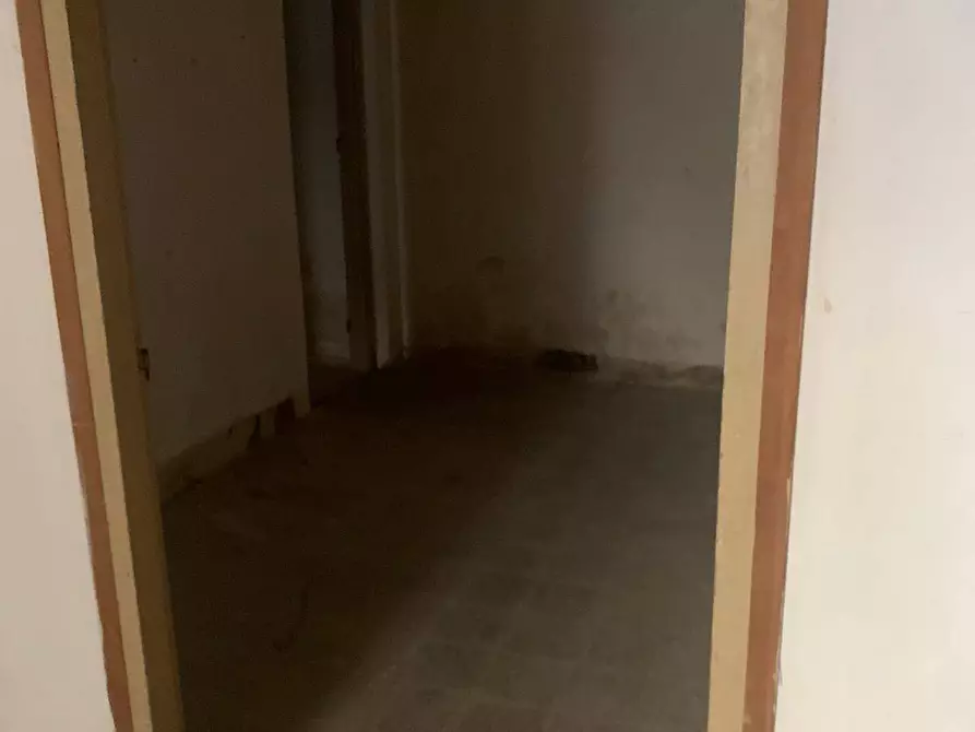 Immagine 3 di Magazzino in affitto  in Via Giuseppe Mario Puglia a Palermo