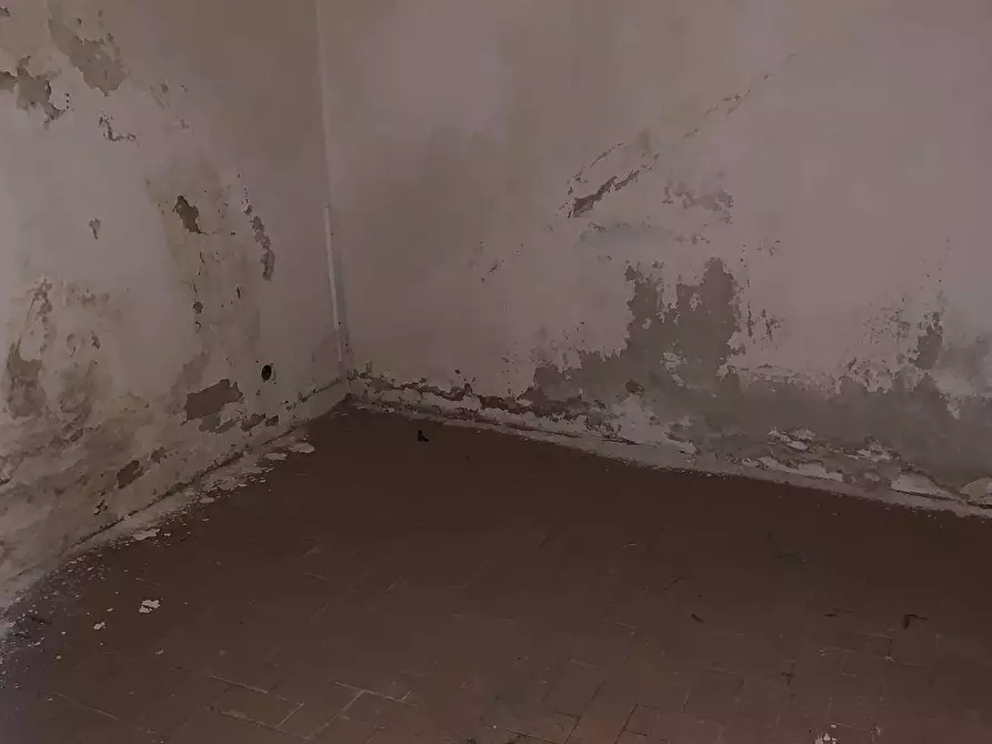 Immagine 5 di Magazzino in affitto  in Via Giuseppe Mario Puglia a Palermo