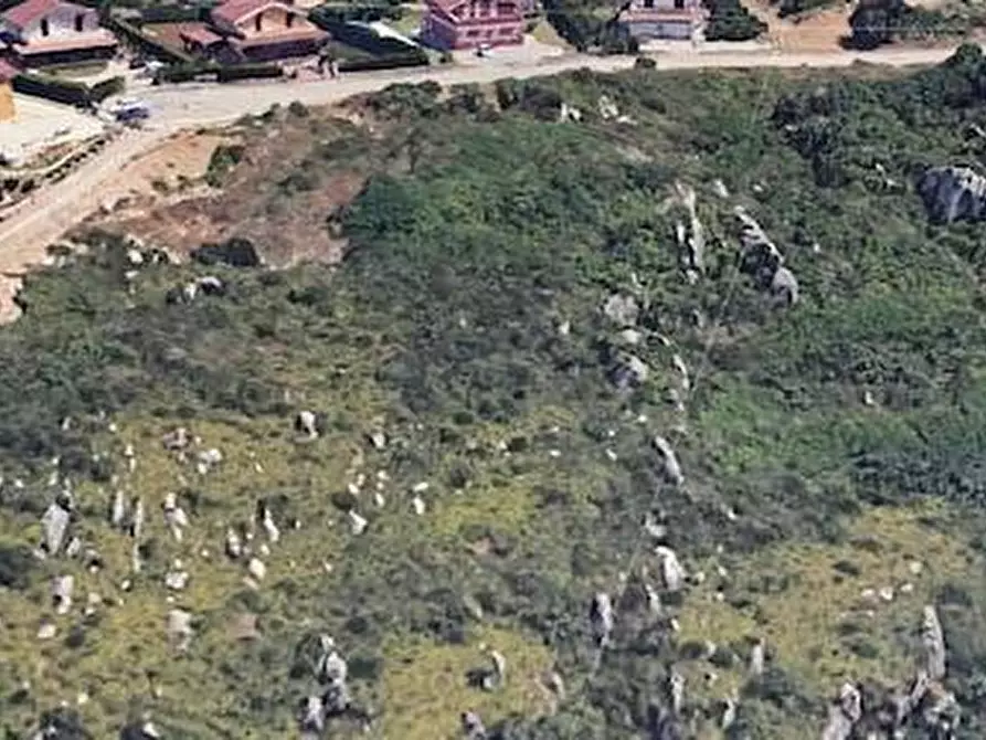 Immagine 4 di Terreno residenziale in vendita  in PEZZINGOLI a Monreale