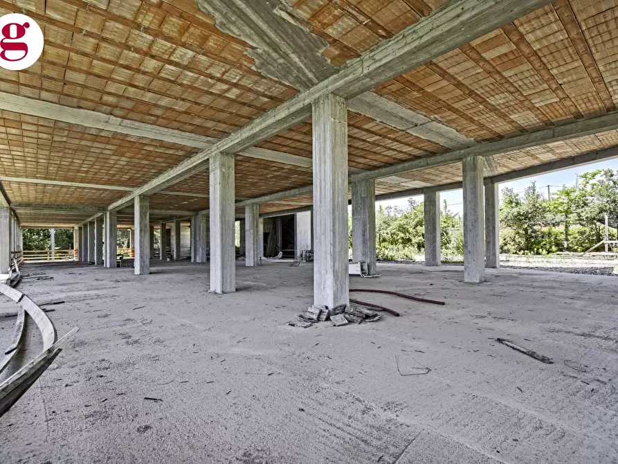 Immagine 7 di Attività commerciale in vendita  in Strada Statale 16 Nord a Vasto