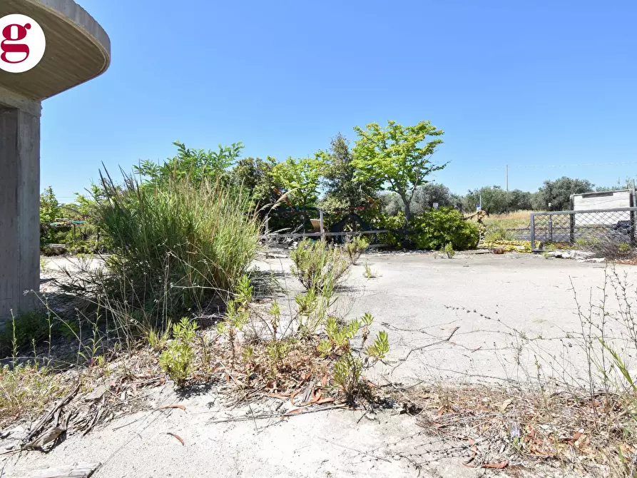 Immagine 9 di Attività commerciale in vendita  in Strada Statale 16 Nord a Vasto