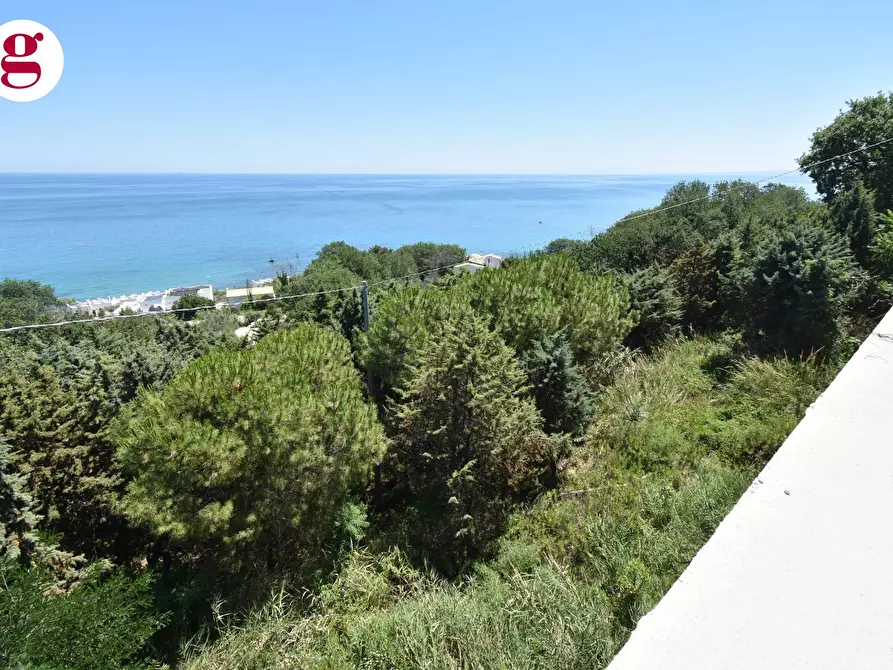 Immagine 24 di Attività commerciale in vendita  in Strada Statale 16 Nord a Vasto