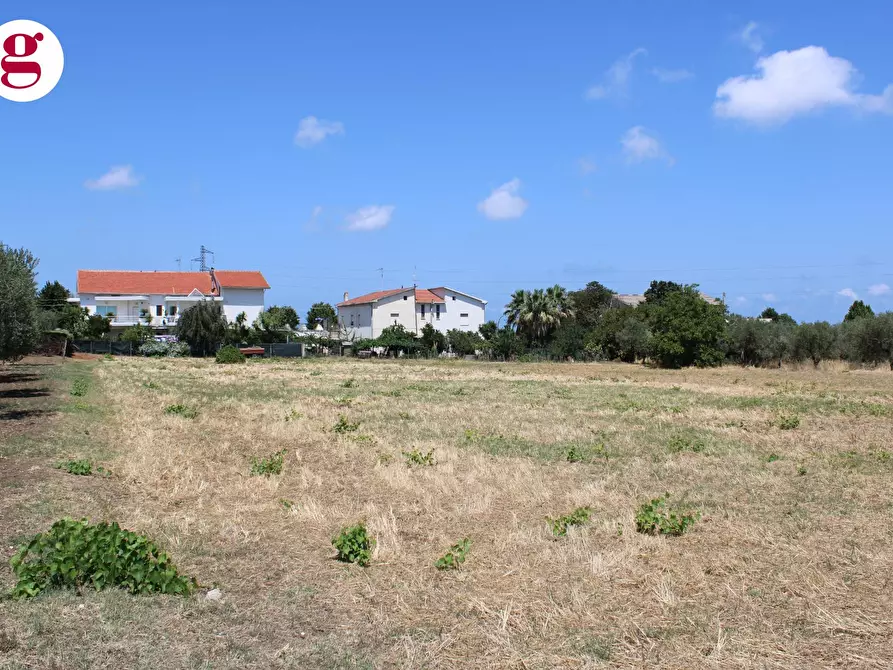 Immagine 1 di Terreno residenziale in vendita  in Viale dei Tigli a Casalbordino