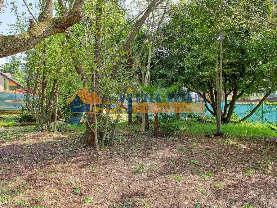 Immagine 4 di Terreno residenziale in vendita  in via Radaelli a Caronno Varesino