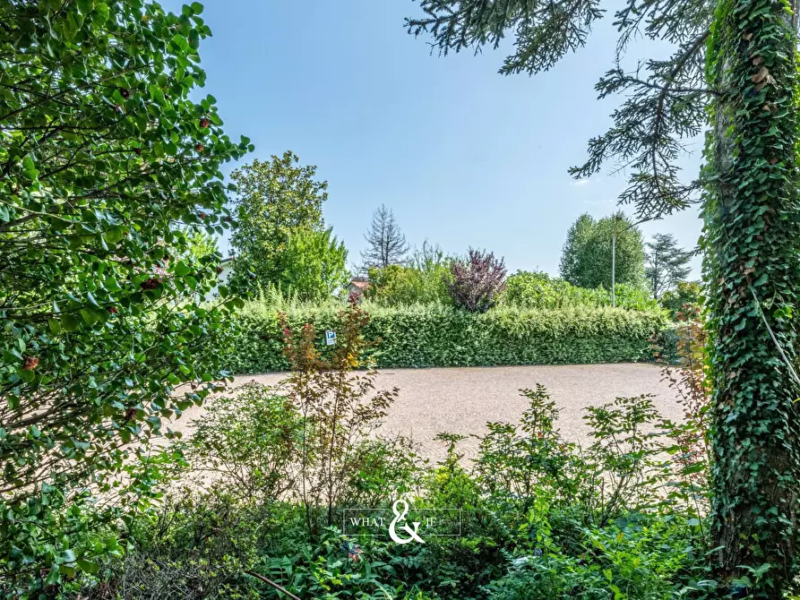 Immagine 26 di Villa in vendita  in Via delle Ortensie a Briosco