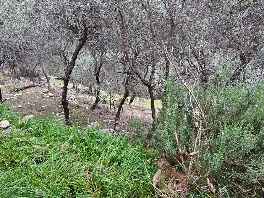 Immagine 29 di Villa in vendita  in FRAZIONE  SANGUINETO a Chiavari