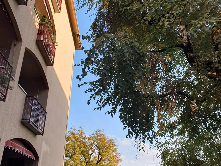 Immagine 11 di Appartamento in vendita  in VIA MATTEOTTI a Appiano Gentile