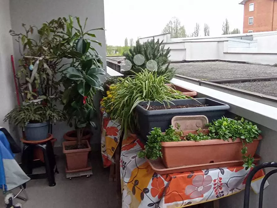 Immagine 2 di Appartamento in vendita  in Via Saragat a Tavazzano Con Villavesco