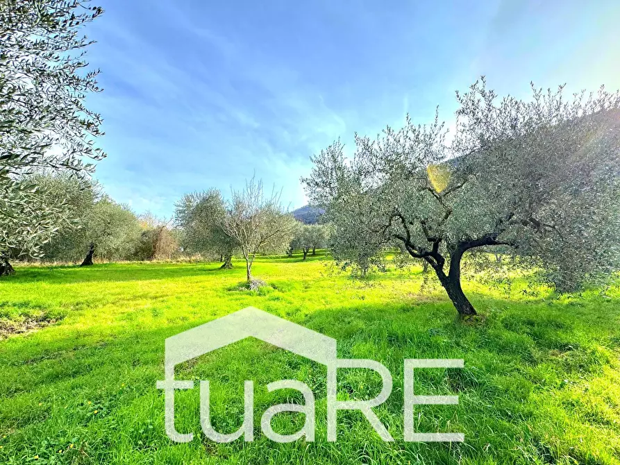 Immagine 19 di Terreno residenziale in vendita  in via di valle caprara a Castel Madama