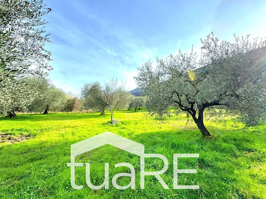 Immagine 21 di Terreno residenziale in vendita  in via di valle caprara a Castel Madama