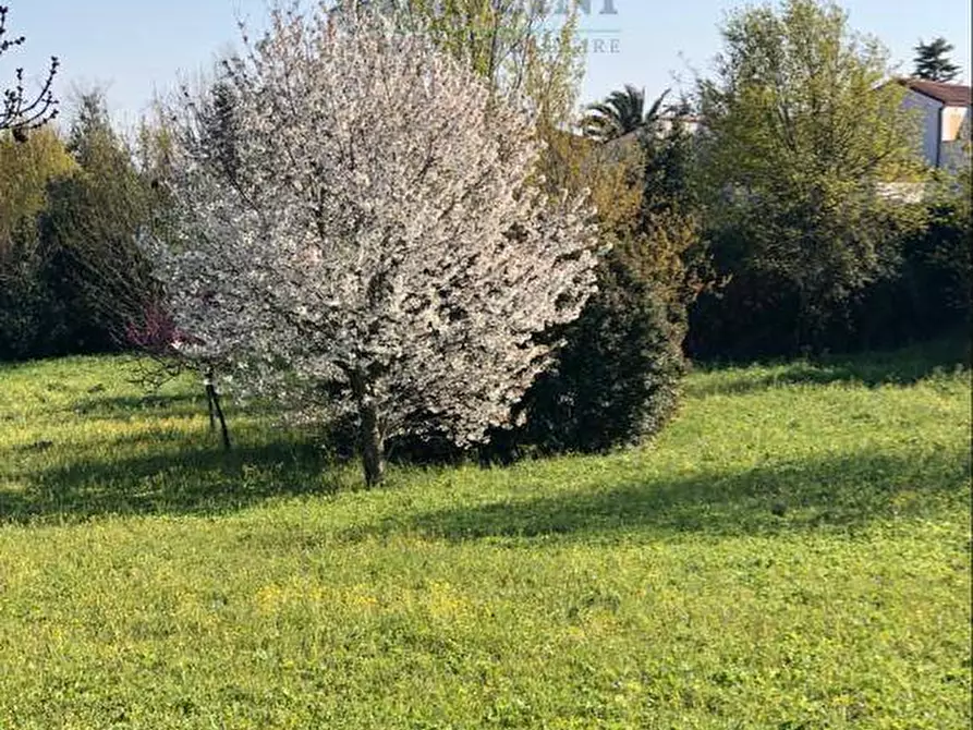 Immagine 6 di Terreno residenziale in vendita  in MONTE NERONE a Jesi