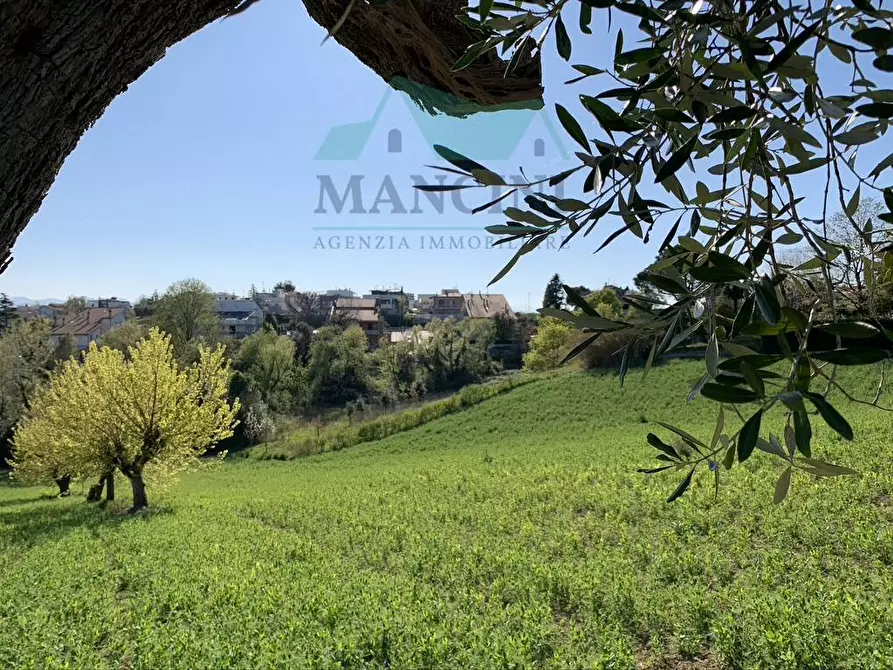 Immagine 4 di Terreno residenziale in vendita  in MONTE NERONE a Jesi