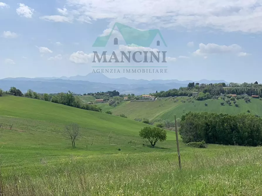 Immagine 2 di Terreno residenziale in vendita  in MONTE NERONE a Jesi