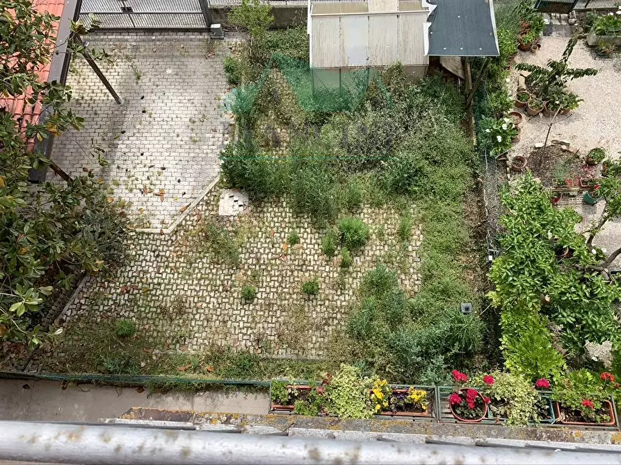 Immagine 12 di Appartamento in affitto  in MATTEOTTI a Jesi