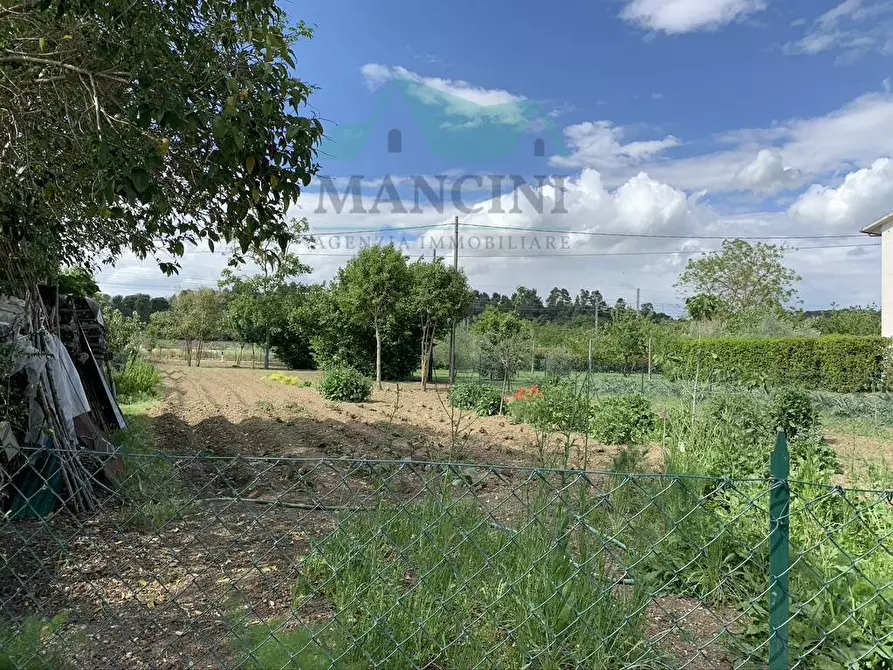 Immagine 20 di Rustico / casale in vendita  in SPINA a Jesi