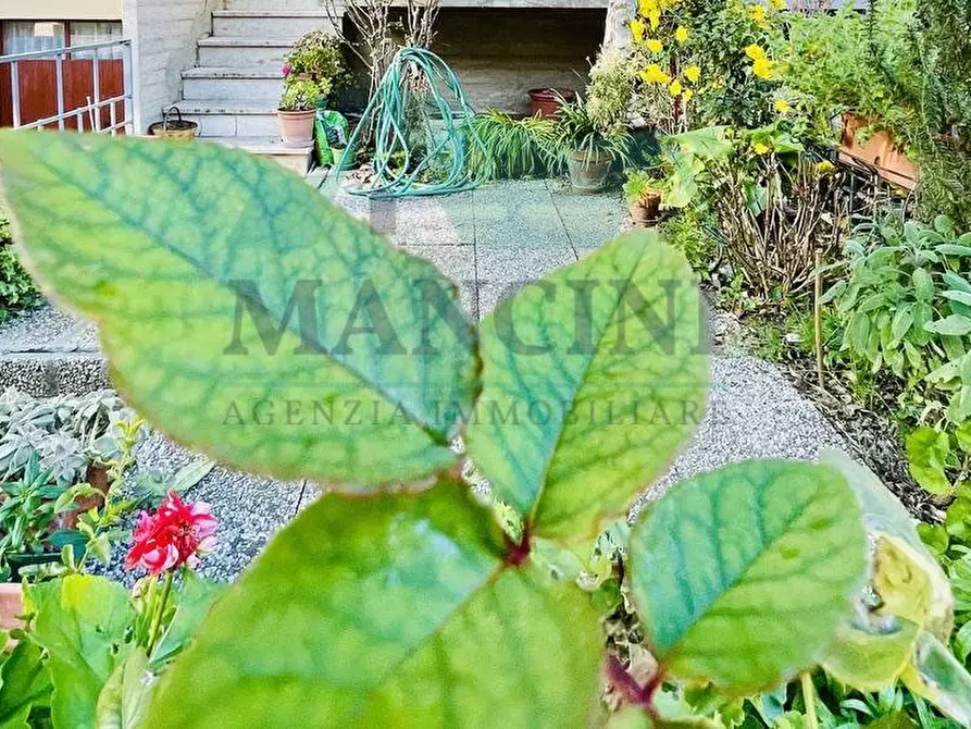 Immagine 26 di Villetta a schiera in vendita  in TIZIANO a Fano