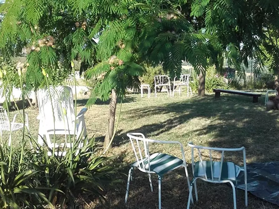 Immagine 5 di Appartamento in affitto  in Castelrosino a Jesi