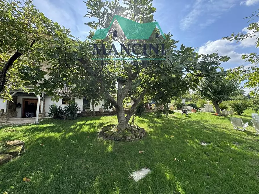 Immagine 5 di Casa indipendente in vendita  in MADONNA DEL PIANO a Cupramontana