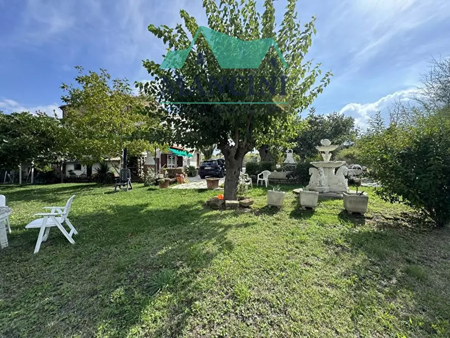 Immagine 4 di Casa indipendente in vendita  in MADONNA DEL PIANO a Cupramontana