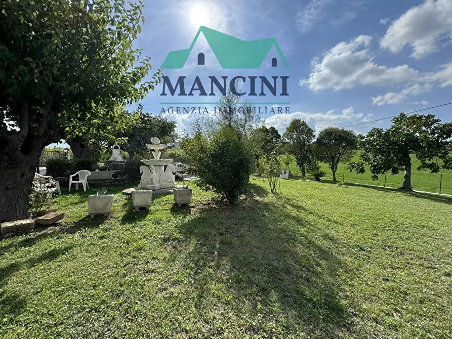 Immagine 6 di Casa indipendente in vendita  in MADONNA DEL PIANO a Cupramontana