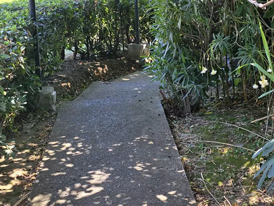 Immagine 12 di Negozio in affitto  in salita della costa a Cogoleto