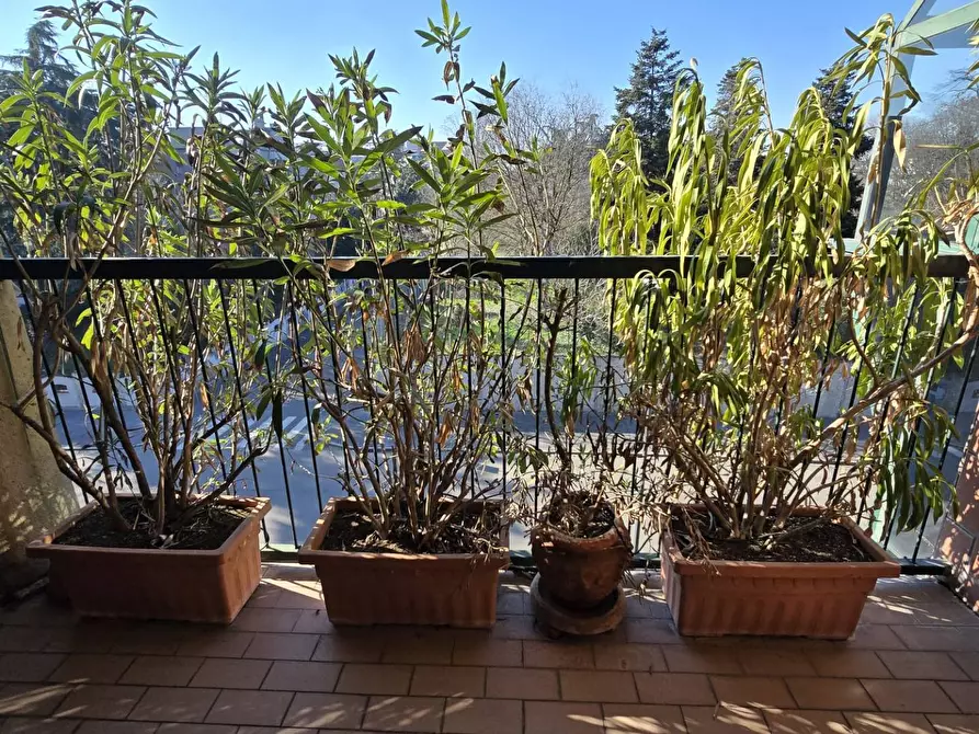 Immagine 20 di Appartamento in vendita  in Via Degli Odescalchi a Milano