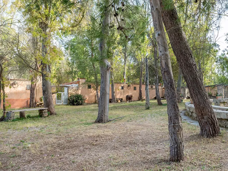 Immagine 14 di Attività commerciale in vendita  in Contrada Muto a Galatina