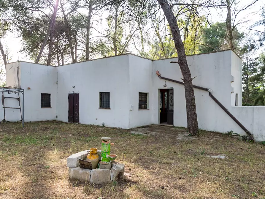 Immagine 21 di Attività commerciale in vendita  in Contrada Muto a Galatina