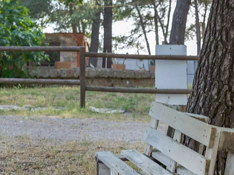 Immagine 23 di Attività commerciale in vendita  in Contrada Muto a Galatina