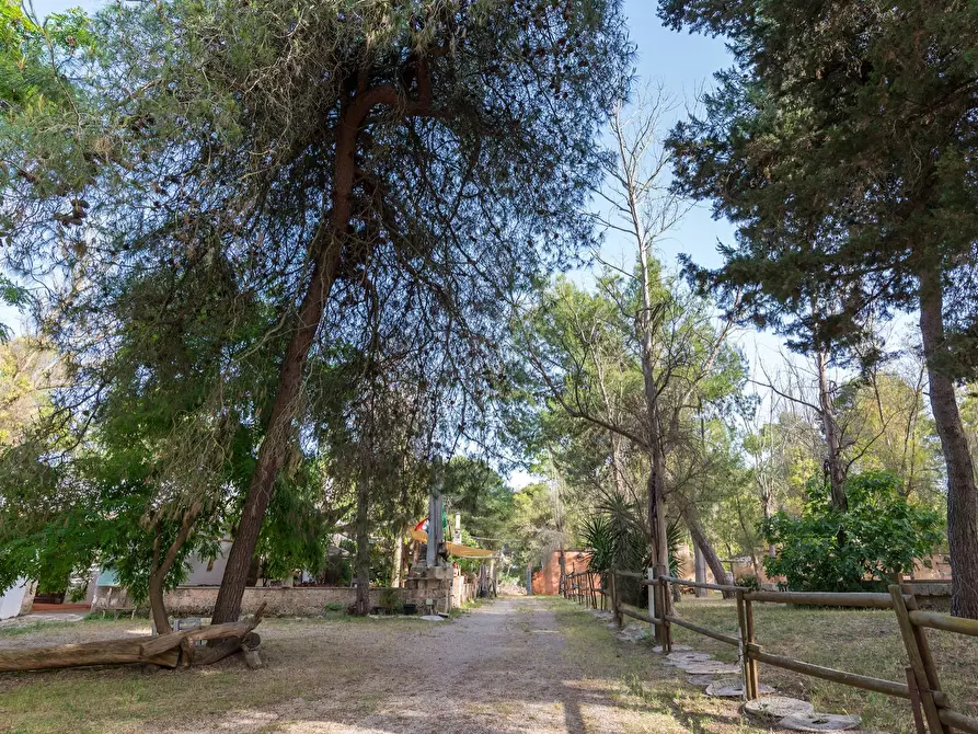 Immagine 28 di Attività commerciale in vendita  in Contrada Muto a Galatina