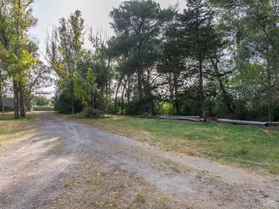 Immagine 26 di Attività commerciale in vendita  in Contrada Muto a Galatina