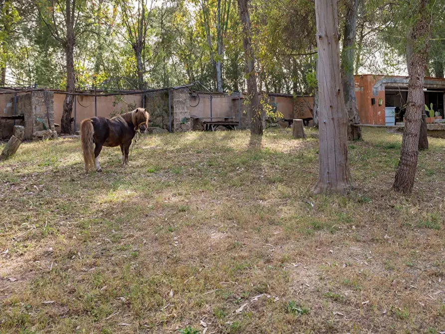 Immagine 27 di Attività commerciale in vendita  in Contrada Muto a Galatina