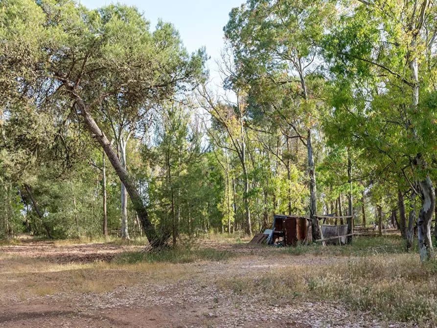 Immagine 20 di Attività commerciale in vendita  in Contrada Muto a Galatina