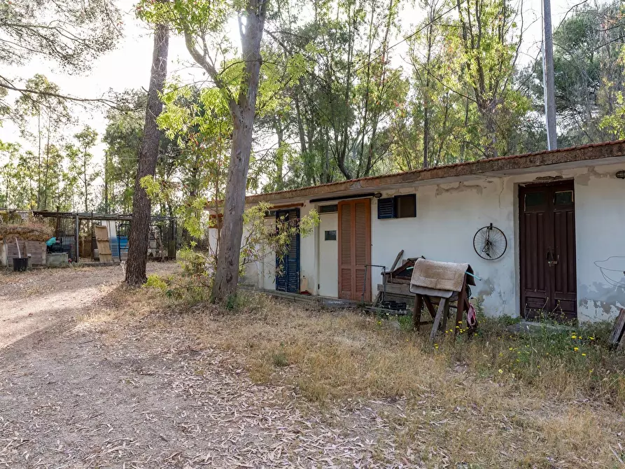 Immagine 19 di Attività commerciale in vendita  in Contrada Muto a Galatina