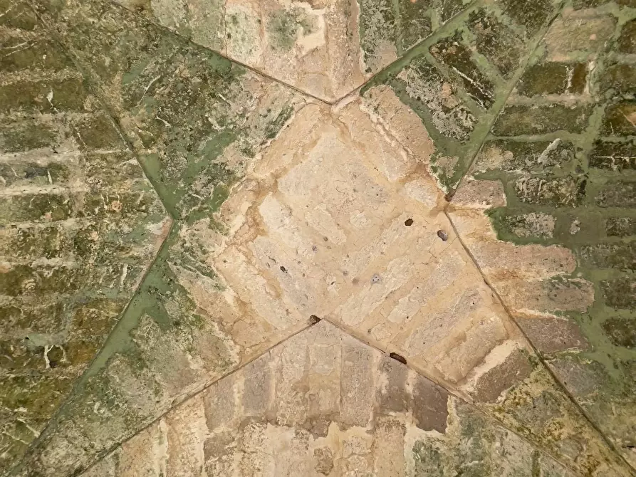 Immagine 8 di Rustico / casale in vendita  in Via Ardito Desio a Lecce