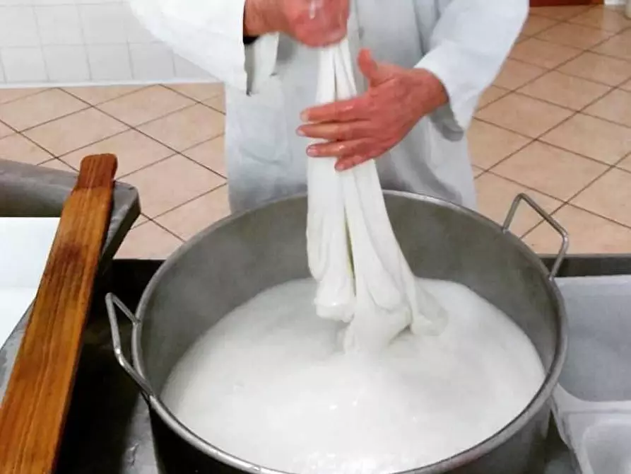 Immagine 7 di Agriturismo in vendita  in viale Della Libertà a Lecce