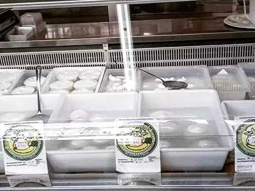 Immagine 11 di Agriturismo in vendita  in viale Della Libertà a Lecce