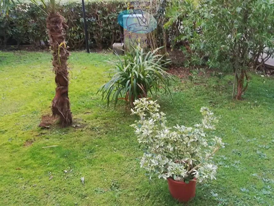 Immagine 19 di Appartamento in vendita  in Via delle Barbate a Camaiore