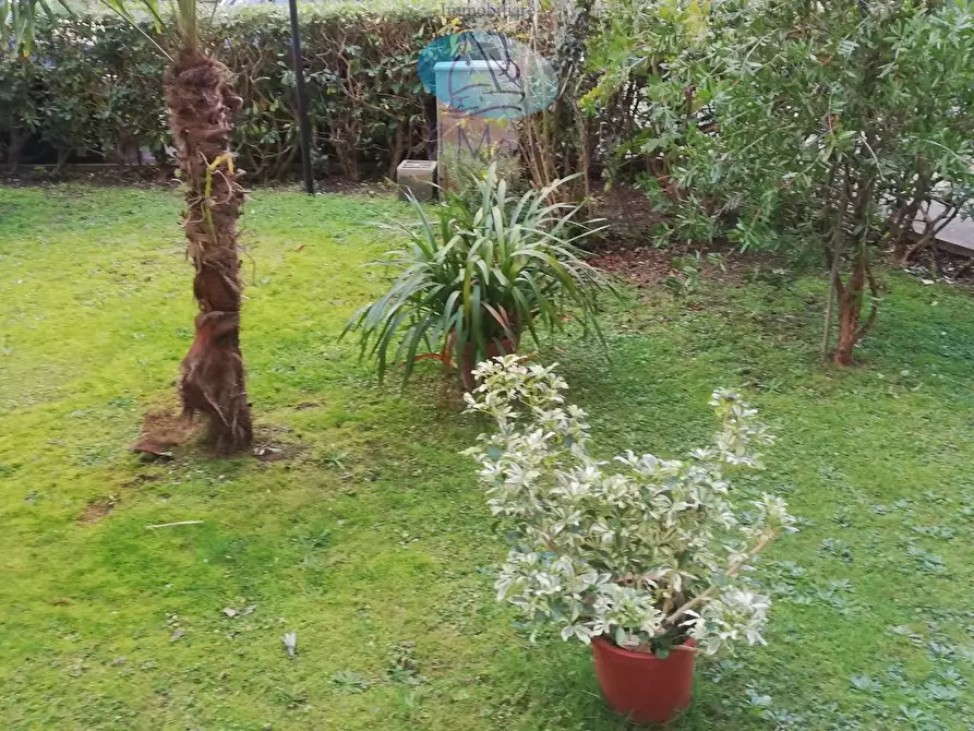 Immagine 20 di Appartamento in vendita  in Via delle Barbate a Camaiore