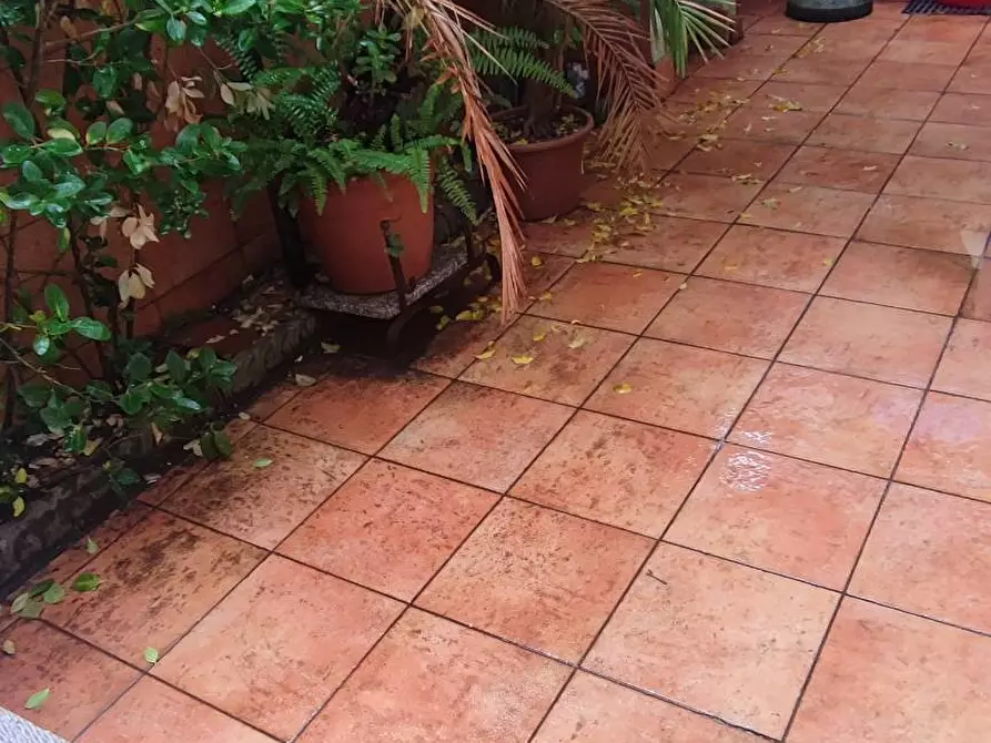 Immagine 19 di Casa indipendente in vendita  in Via Trieste a Viareggio