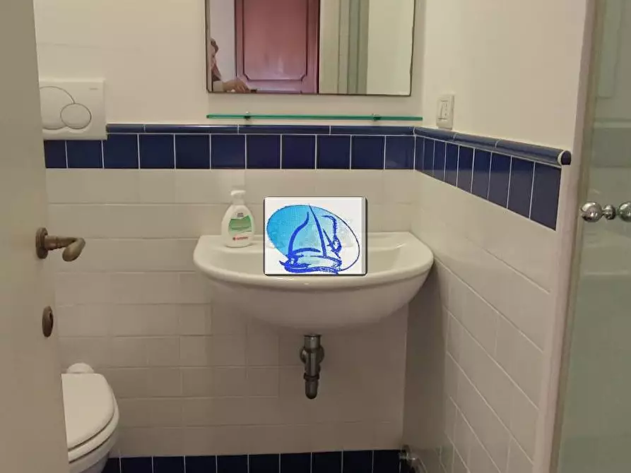 Immagine 30 di Appartamento in vendita  in VIA COLOMBO a Camaiore