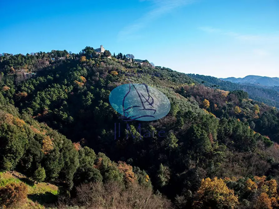 Immagine 2 di Casa indipendente in vendita  in via DI LUCIANO a Massarosa