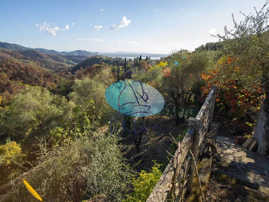 Immagine 3 di Casa indipendente in vendita  in via DI LUCIANO a Massarosa