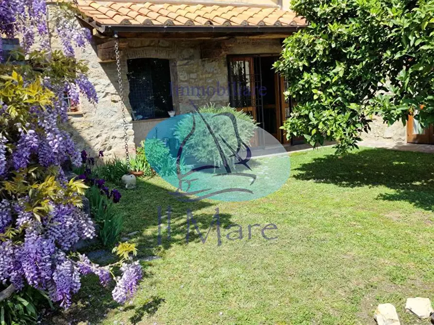 Immagine 4 di Casa indipendente in vendita  in via DI LUCIANO a Massarosa