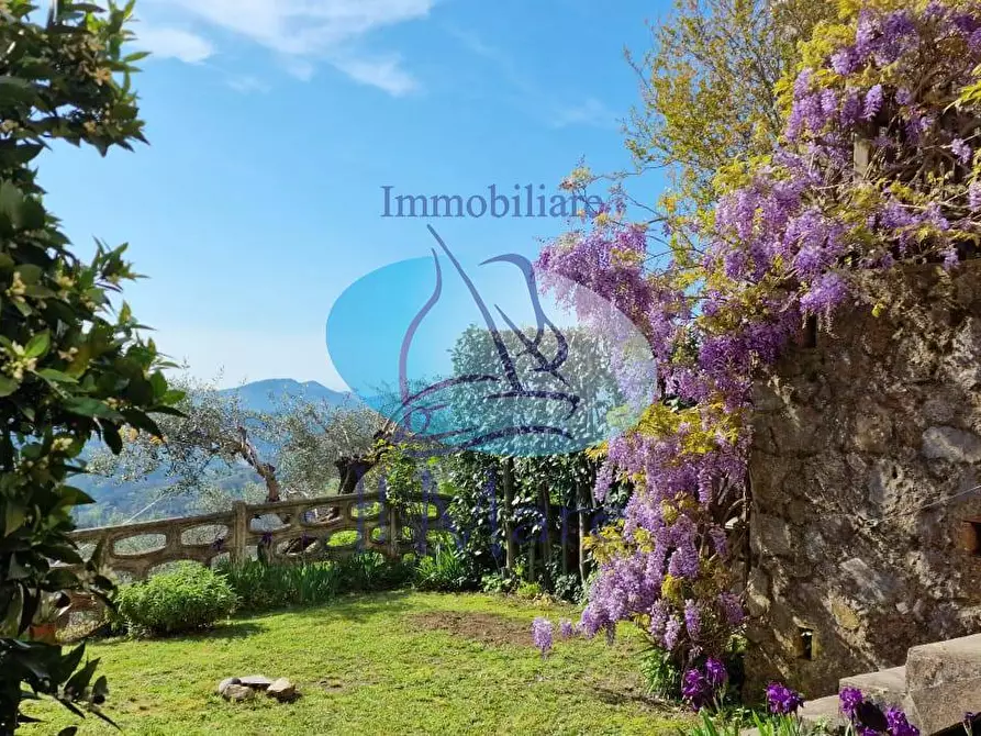 Immagine 6 di Casa indipendente in vendita  in via DI LUCIANO a Massarosa