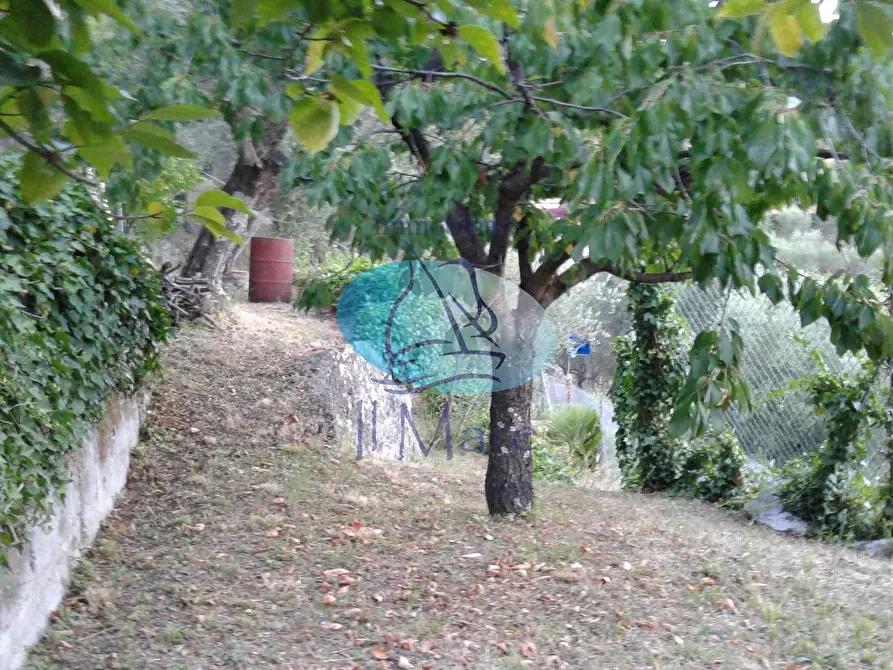 Immagine 8 di Casa indipendente in vendita  in via DI LUCIANO a Massarosa