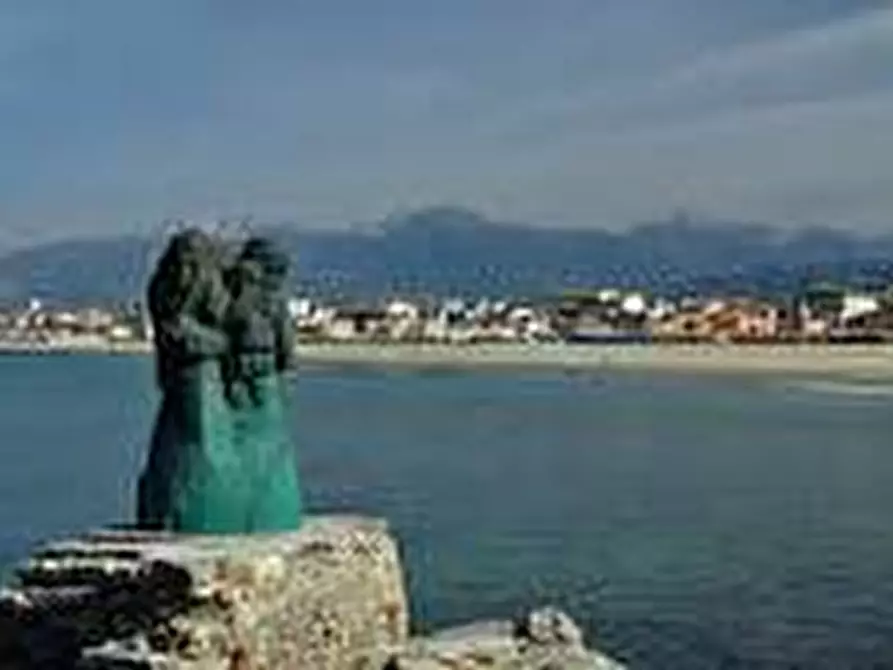 Immagine 2 di Locale commerciale in vendita  in DEI PEECCHI a Viareggio